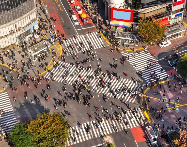 Shibuya Walking Tour in Japan: Exploring the District’s Highlights on Foot