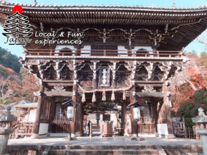 10 Best Places to See Cherry Blossom in Kyoto 2025